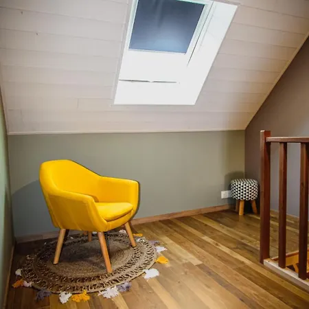 La Maison Des Volcans Cantal Villa