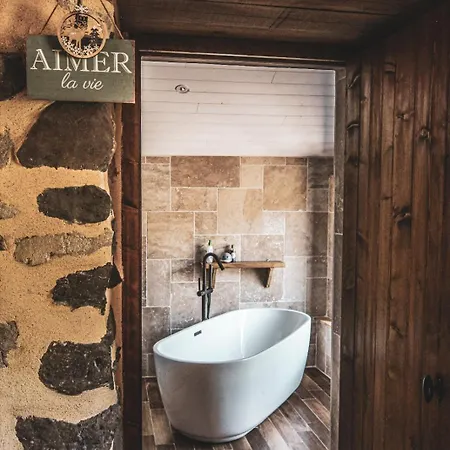 La Maison Des Volcans Cantal Villa