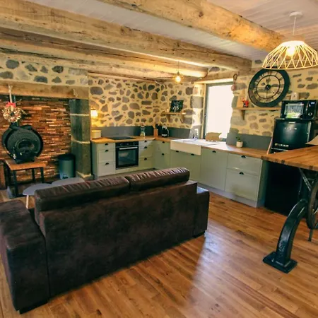 La Maison Des Volcans Cantal Villa *