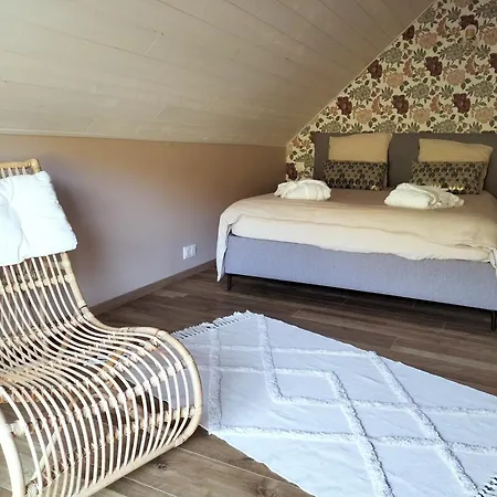 La Maison Des Volcans Cantal Villa *